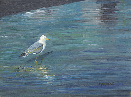 Jonathan Livingston Seagull Paintings for Sale - Fine Art America
