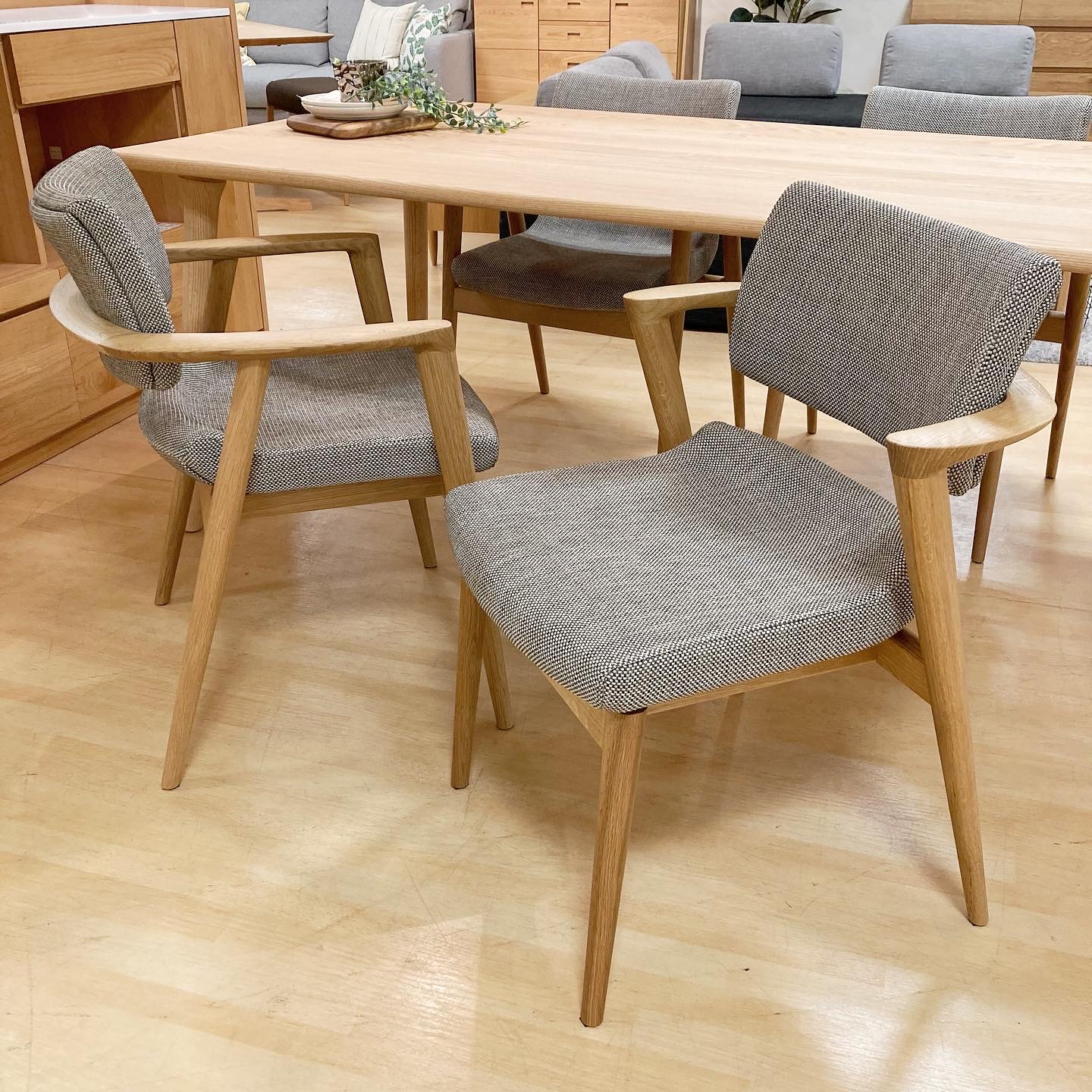 SEOTO-EX セミアームチェア（張り座） – 商品カタログ