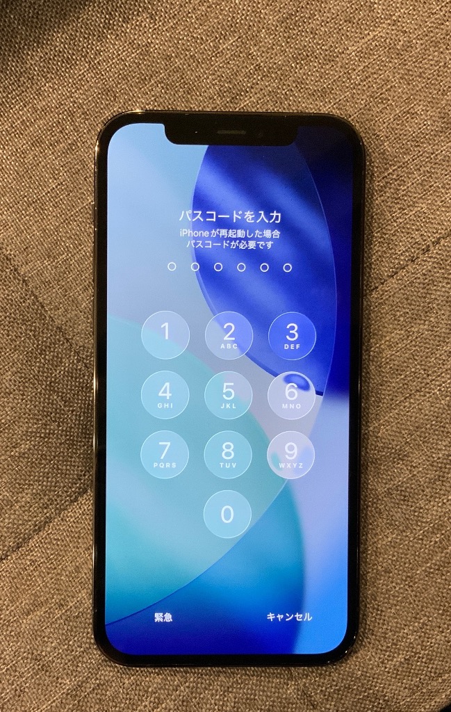 Apple iPhone 12 Pro 256GB グラファイト SIMフリー iPhone iPhone 12