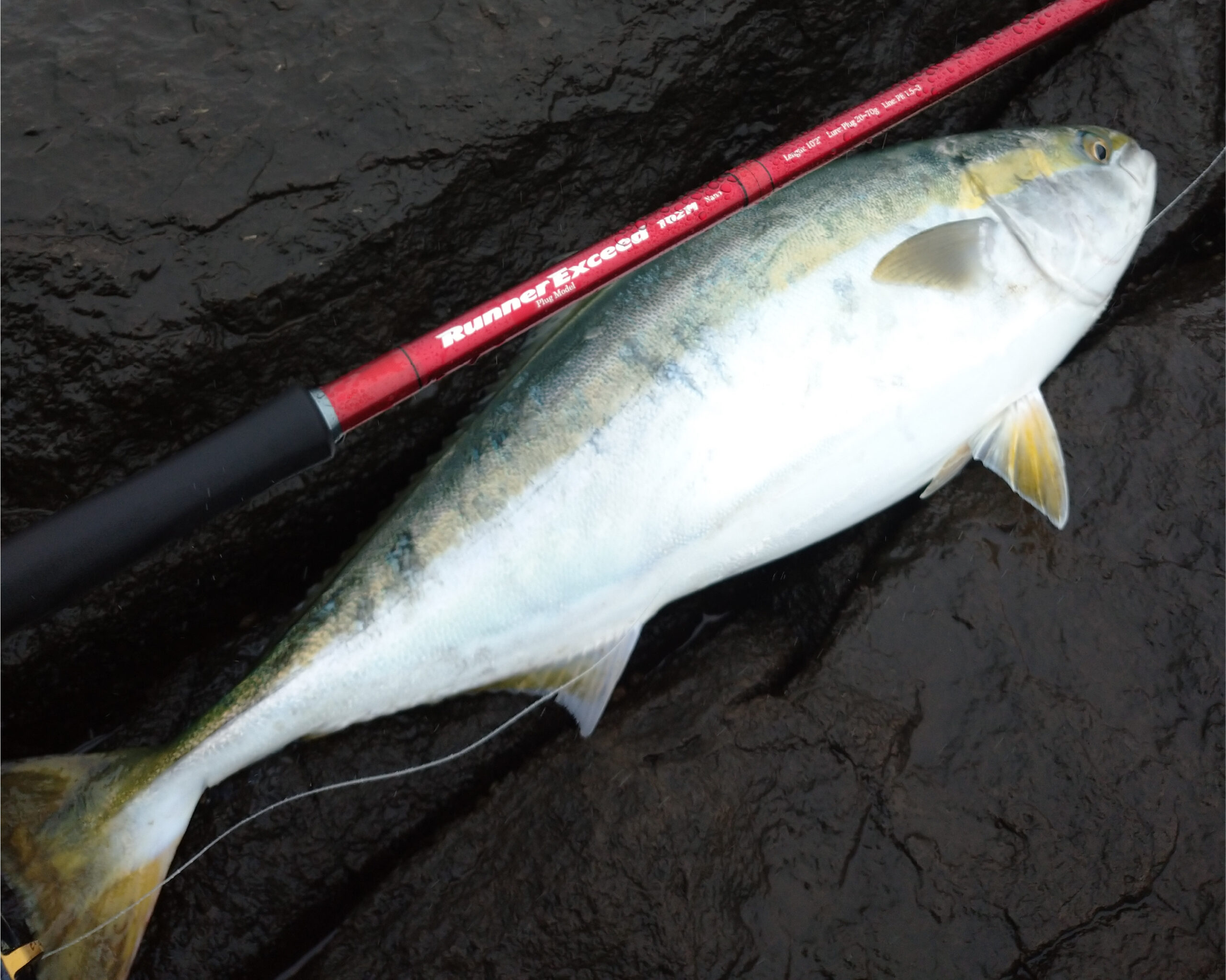 RunnerExceed 102M Nano PlugModel ショア青物・釣果報告 | リップル