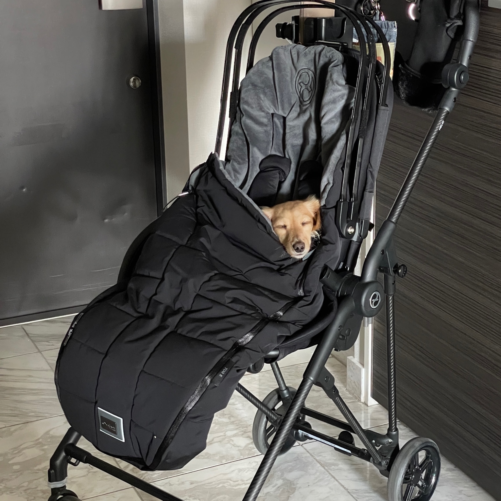 cybex サイベックス プラチナム フットマフ （赤ちゃん ベビー 新生児