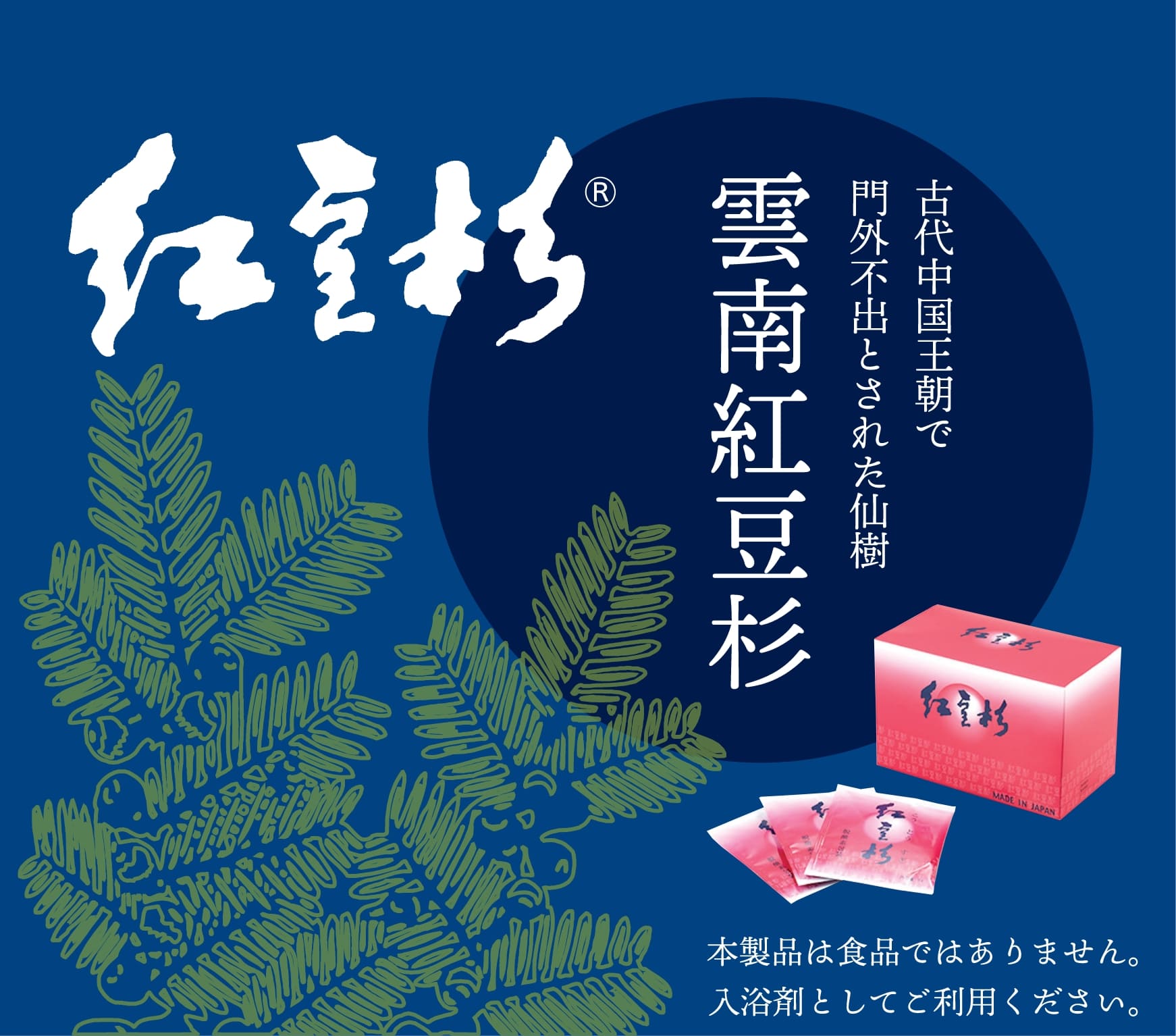 雲南紅豆杉 | 白豆杉の六基食品株式会社