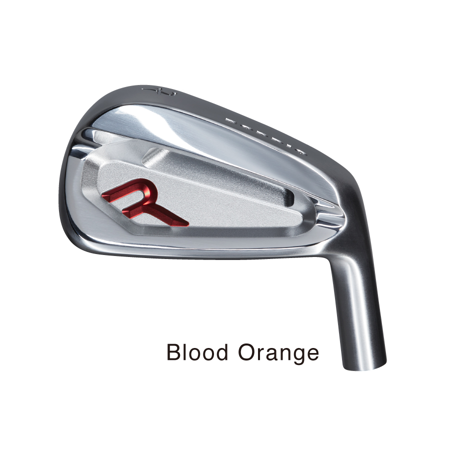 Roddio,ロッディオ | RODDIO