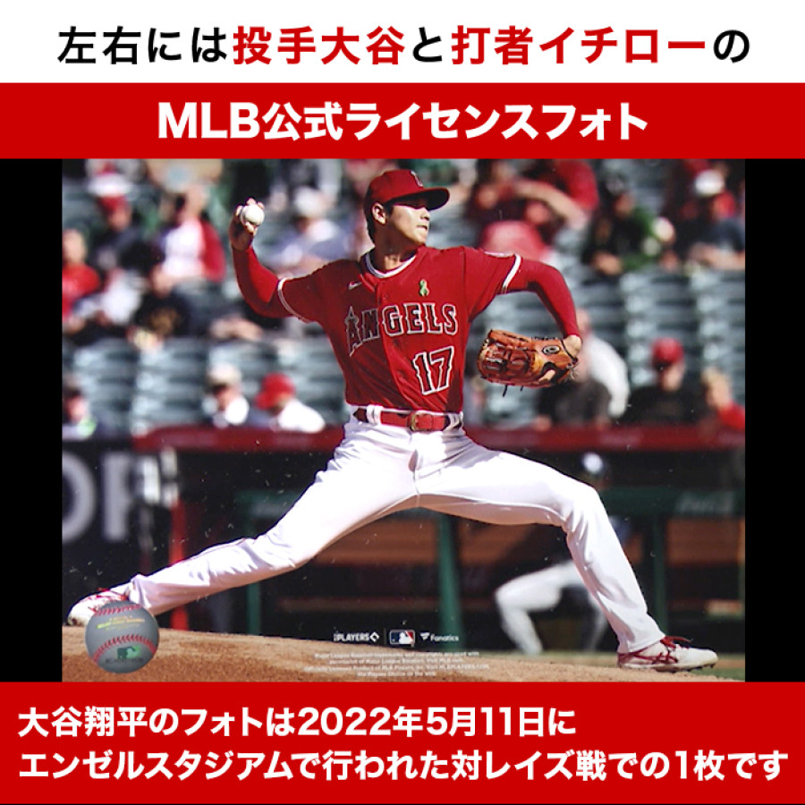 イチロー＆大谷翔平」直筆サイン入り MLB公認ボール | テレビ朝日