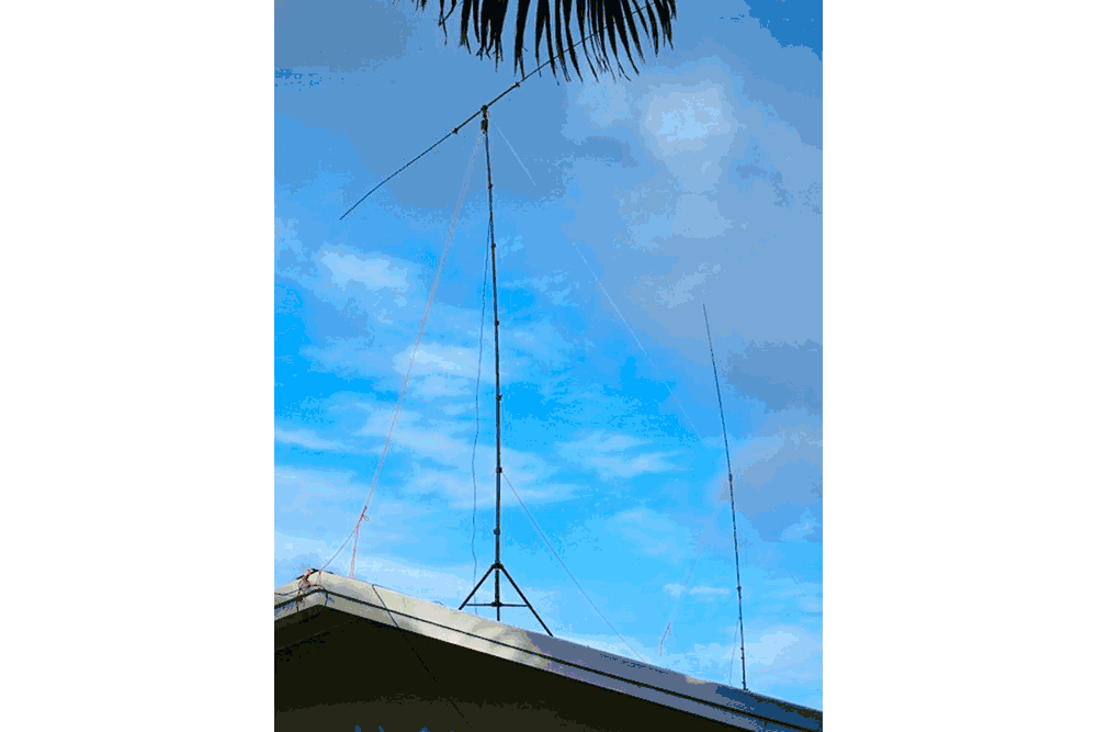 18' Buddipole™ Mast