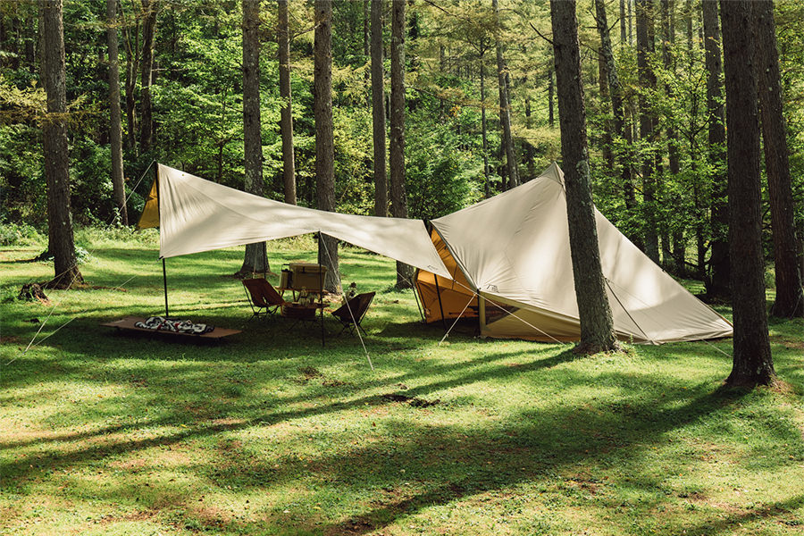 モーニンググローリー TC - 地球の、道具。サバティカル