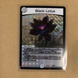 Black Lotus ブラックロータス」の激安通販 | magi