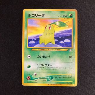 チコリータ」の激安通販 | magi