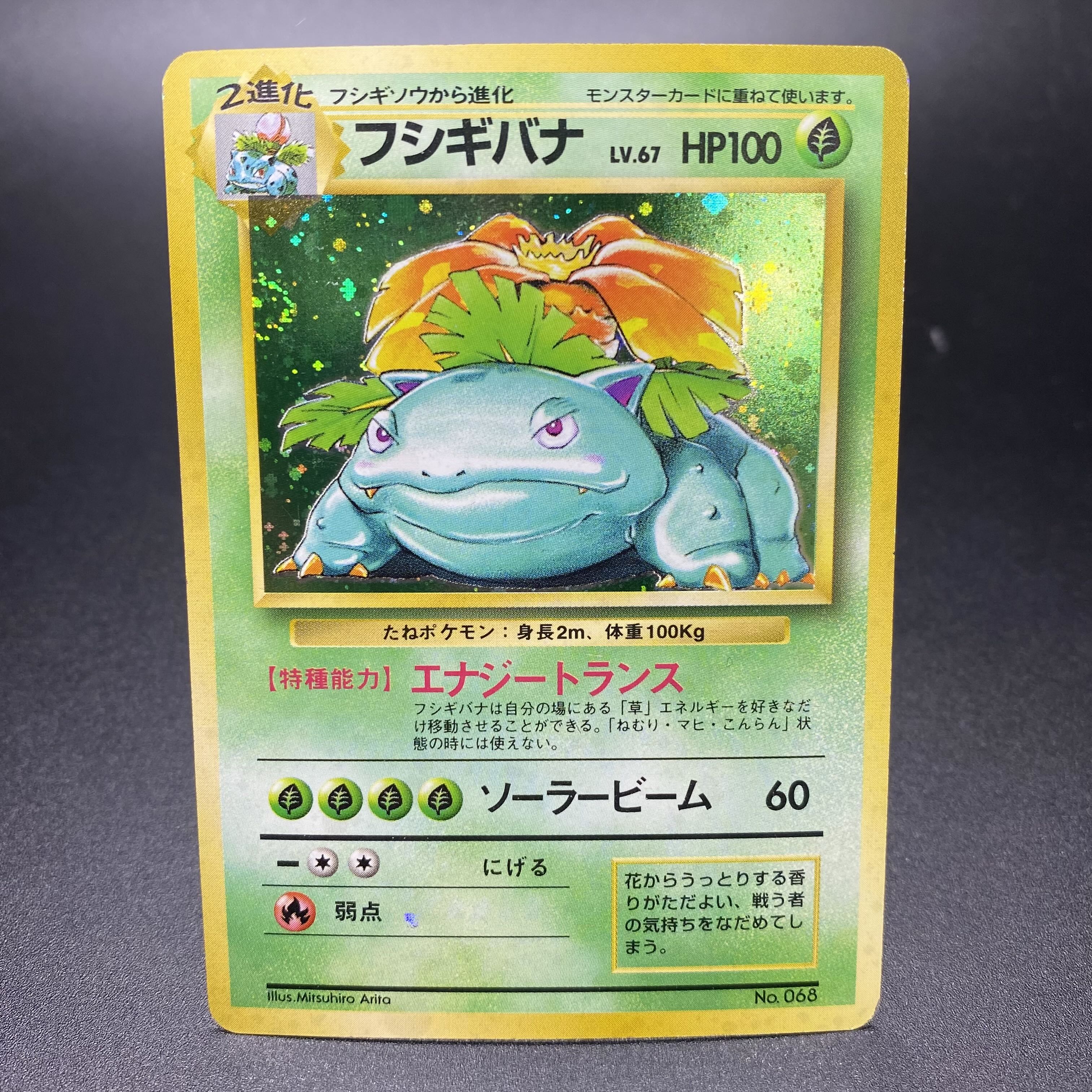 フシギバナ 旧裏 初版 マーク無し 1枚の通販 土日祝休 magi公式(委託