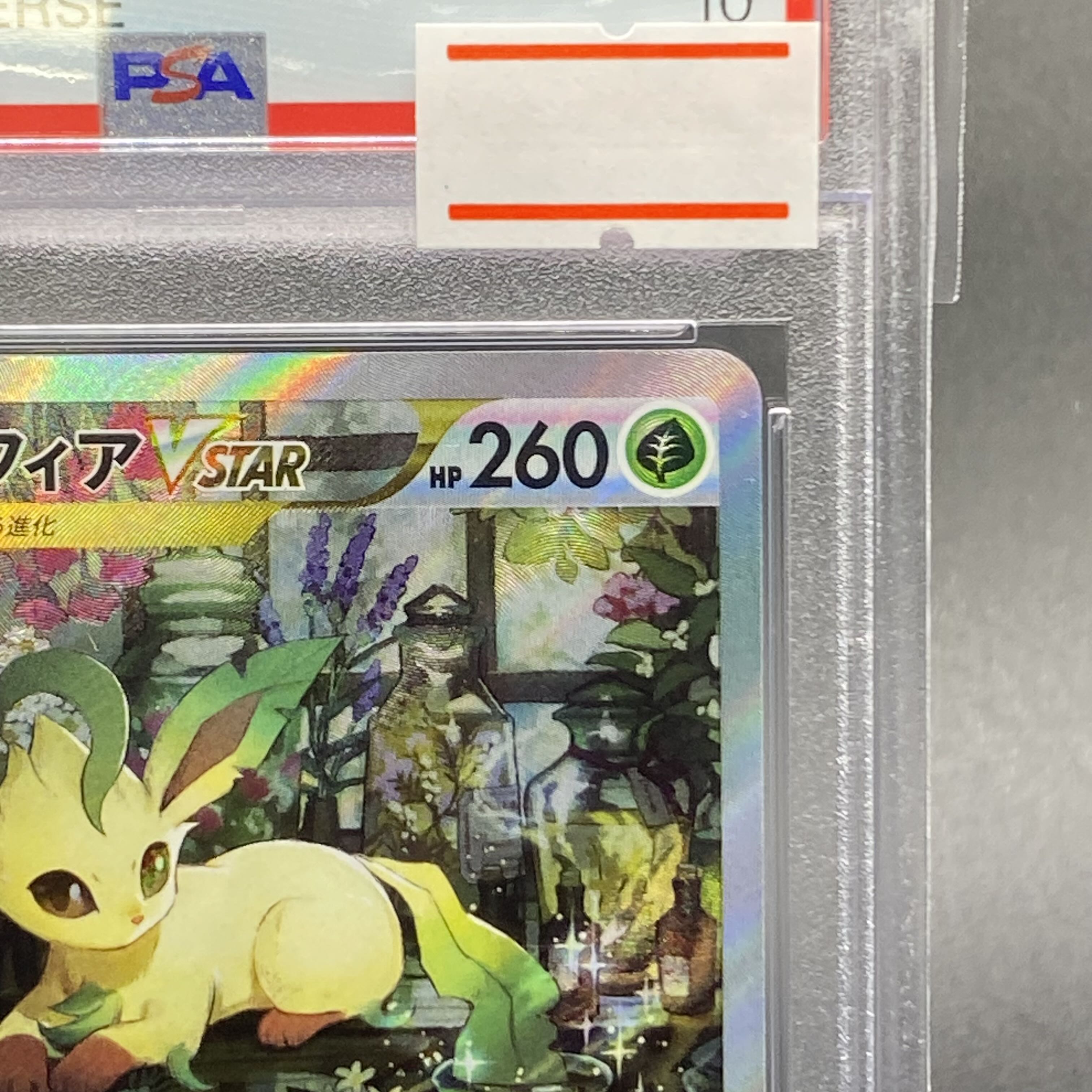 PSA10 リーフィアVSTAR SAR 210/172 1枚の通販 土日祝休 magi公式(委託