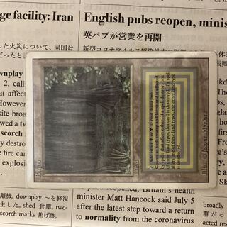 mtg デュアルランド」の激安通販 | magi