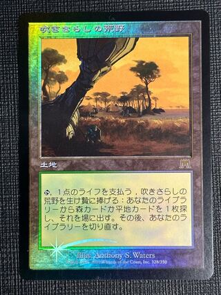 吹きさらしの荒野」の激安通販 | magi