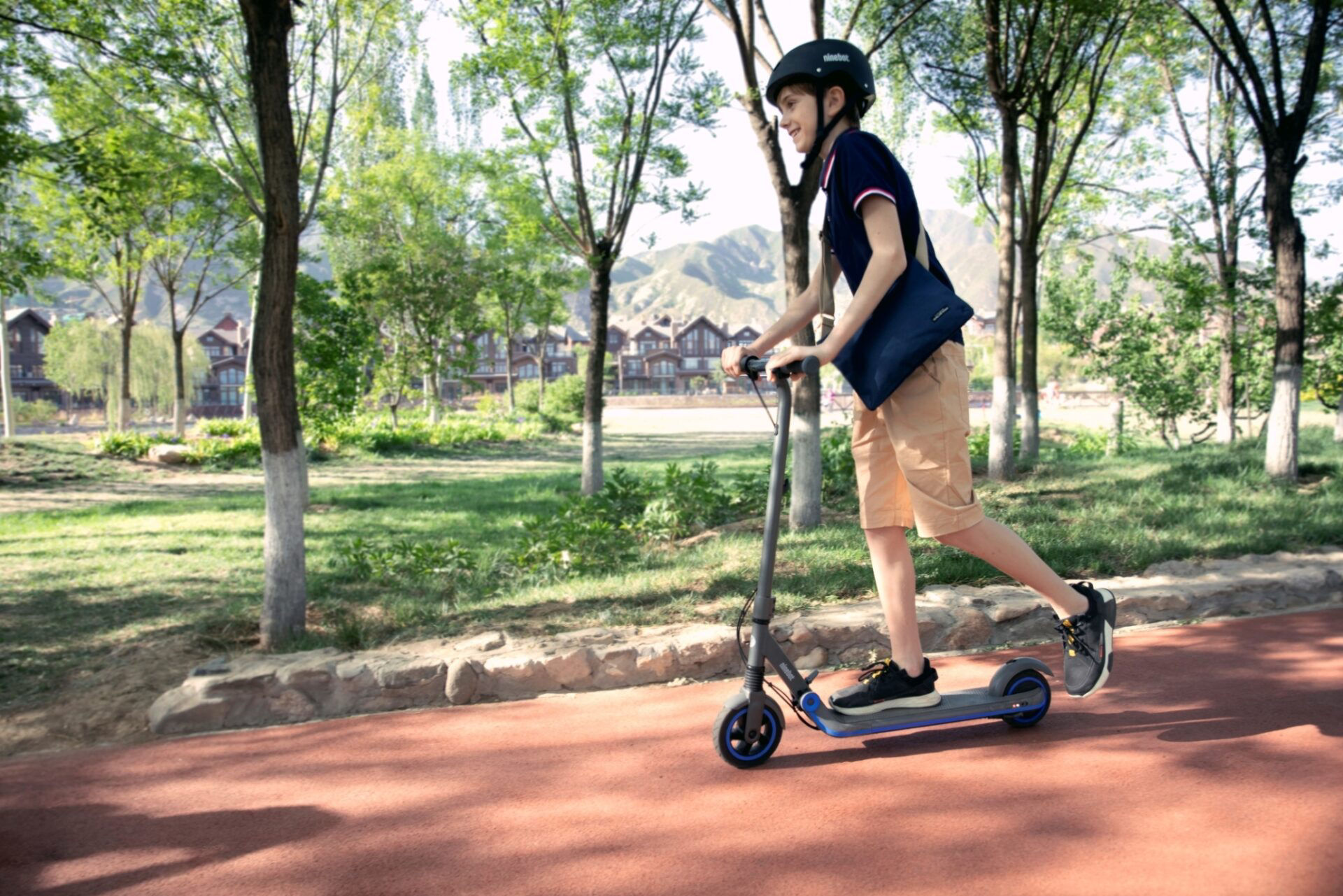 Segway eKickScooter Ninebot Zing E10