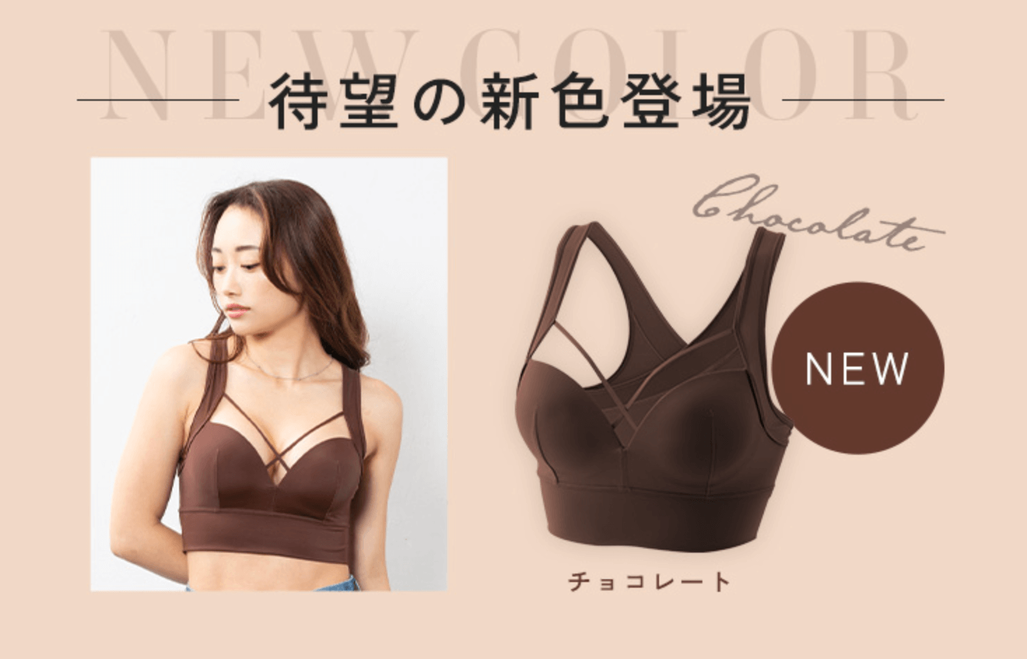 AGARISM GYDA アップミースタイリングブラ」に新色チョコレートが登場
