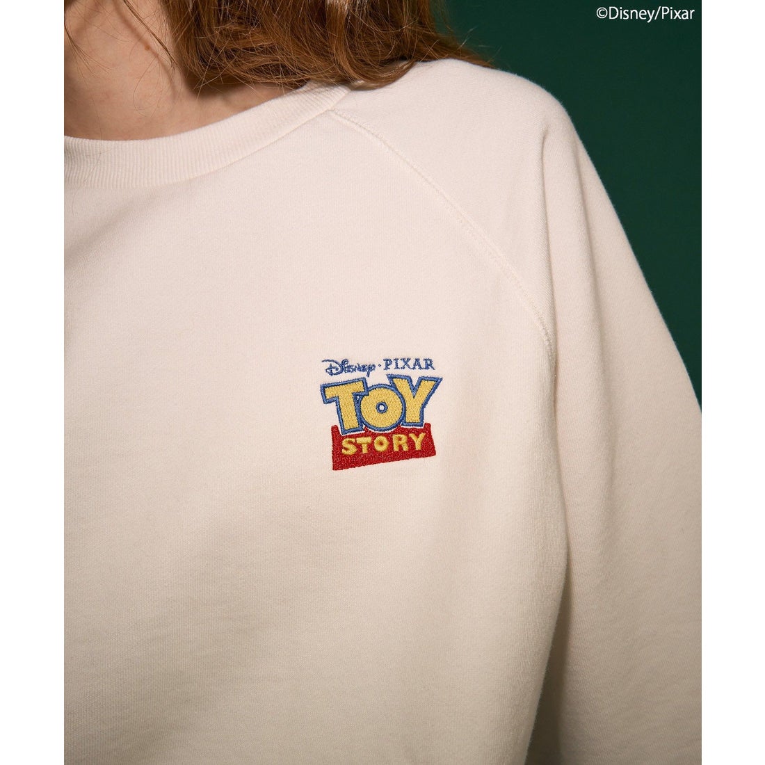 アメリカンホリック AMERICAN HOLIC TOY STORY/プルオーバー （杢