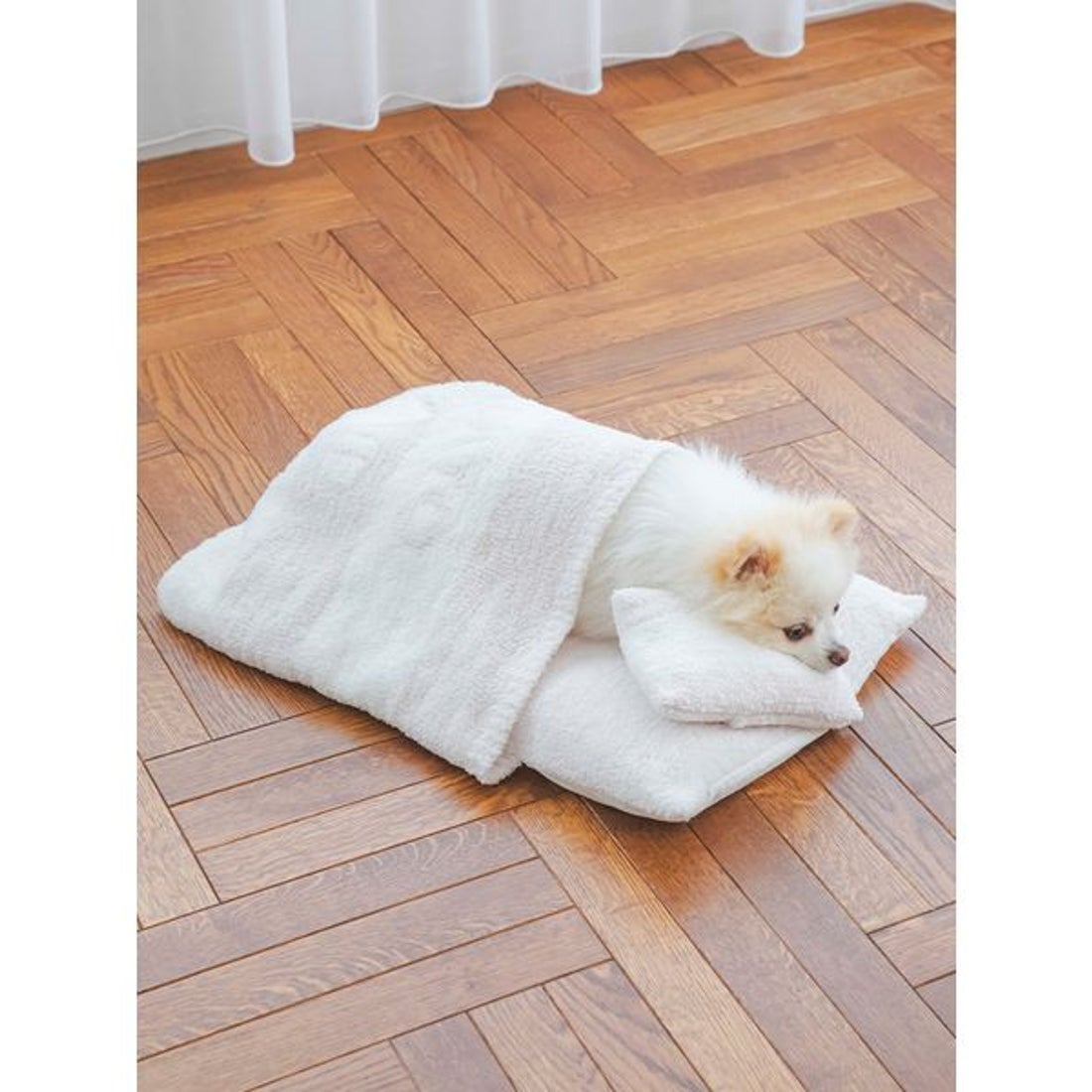 ジェラートピケ gelato pique 【CAT&DOG】【販路限定商品】ベビモコお