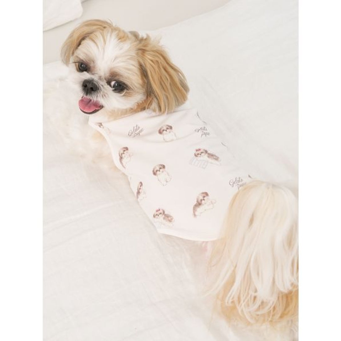 ジェラートピケ gelato pique 【CAT&DOG】シーズー柄プルオーバー