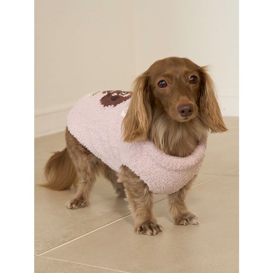 ジェラートピケ gelato pique 【CAT&DOG】ベビモコダックスフンド