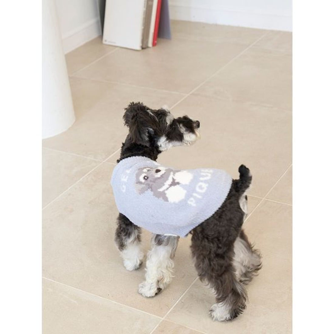 ジェラートピケ gelato pique 【CAT&DOG】ベビモコシュナウザー