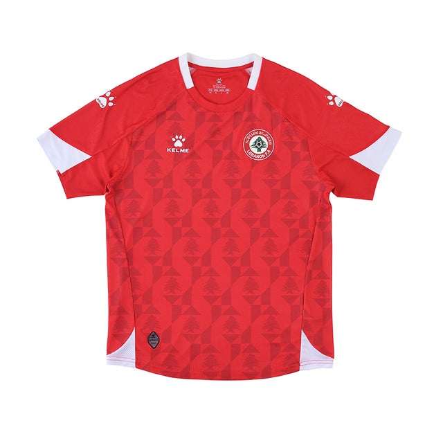 NIKE 韓国代表 06/08 ユニフォーム ホーム 半袖 109285 640 代表