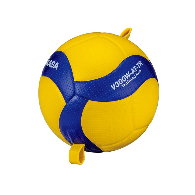 MIKASA ミカサ 国際公認球 検定球5号(ブルー) V300W ボール -【SWS