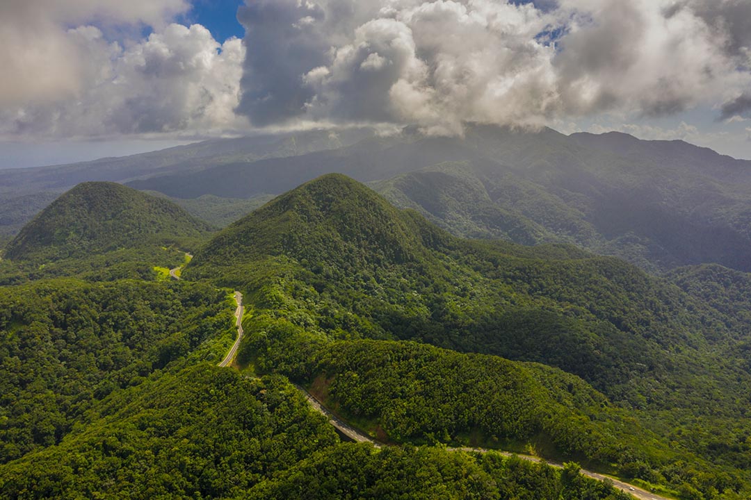 Mountain Ecosystems in Focus for 2022 International Year – SDG