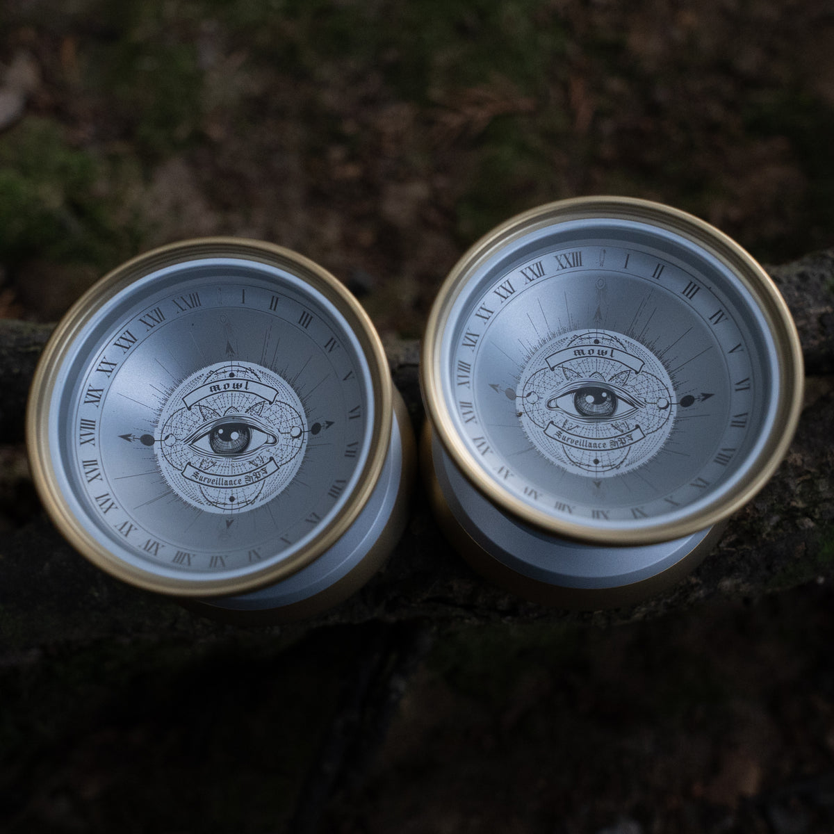 Surveillance HPF – mowl