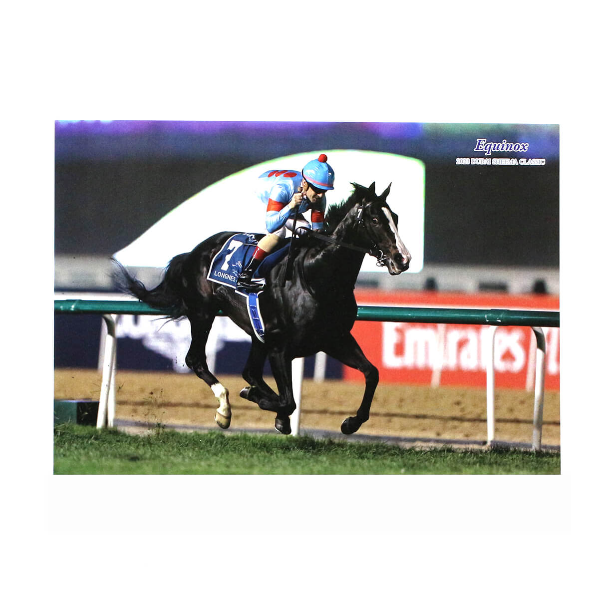 オリジナルポストカード イクイノックス ドバイシーマクラシック2023