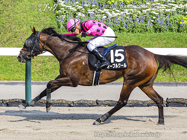 スペシャルウィーク 天皇賞春 競馬ブックパネル スペシャルウィーク