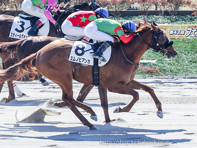 競馬ブックネットSHOP / カラーパネル