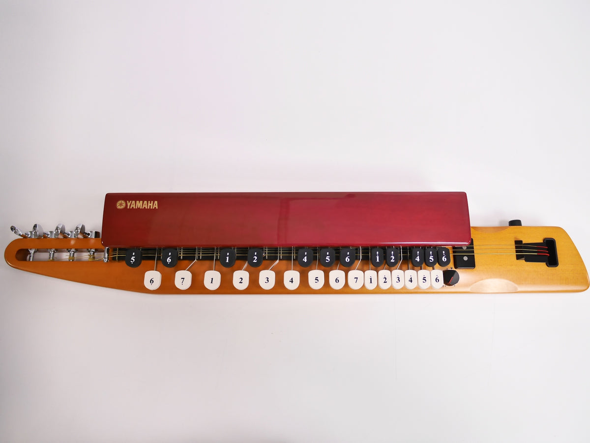 P2720495_1200x.jpg?v=1676708918