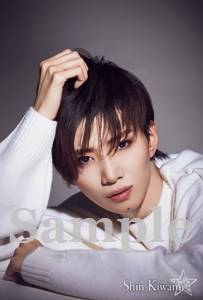 ポートレイトポストカード極美3: ポストカード・ブロマイド（公演