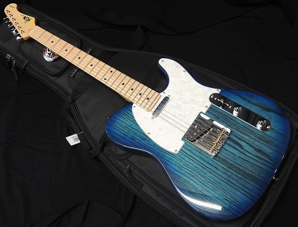 楽天市場】FUJIGEN/FgN Neo Classic NTE210RAH SBB(Fine Tuned by