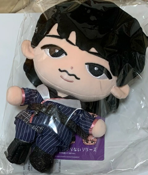 楽天市場】すのチルぶら下がらないシリーズ (BIGぬいぐるみ) 向井康二