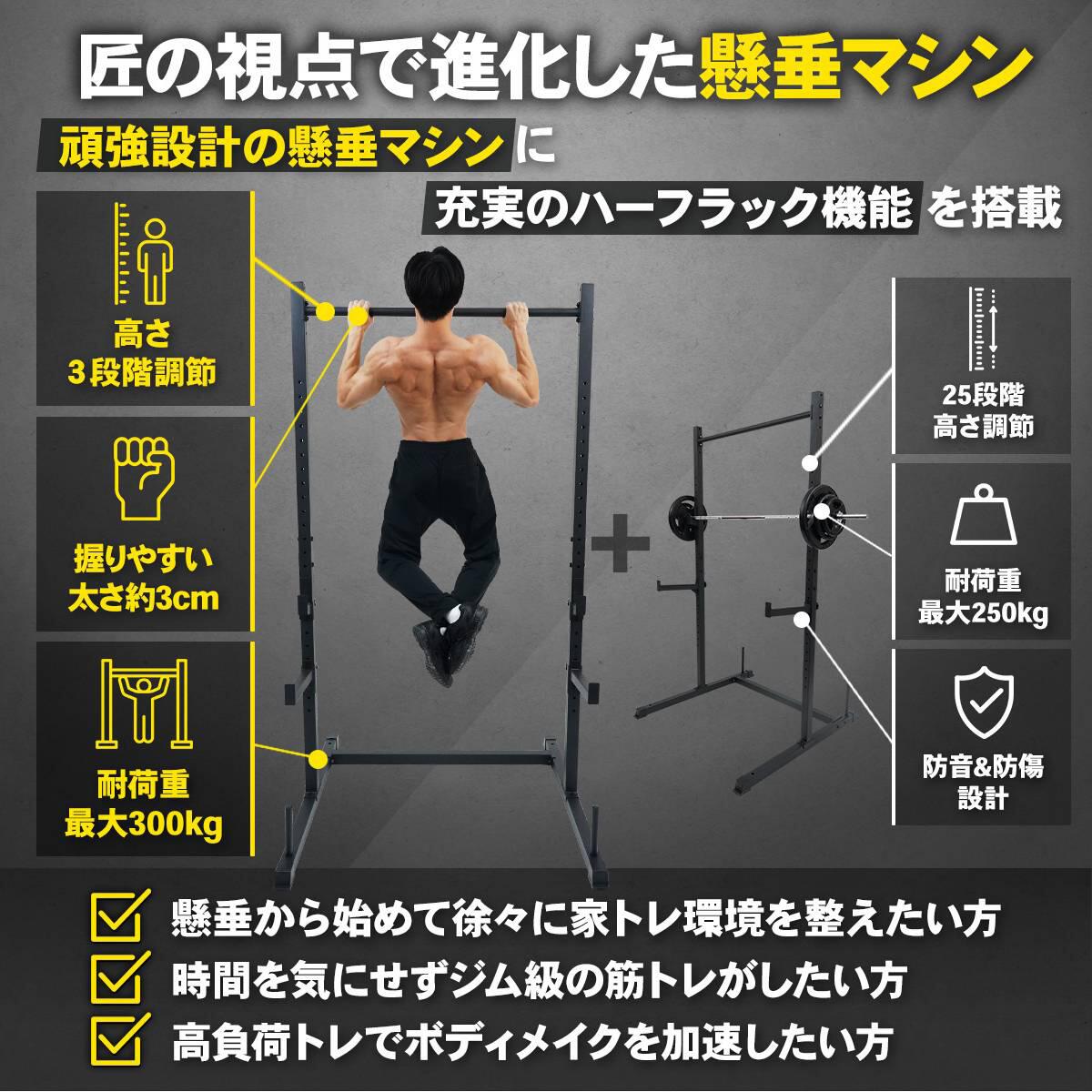 懸垂マシン ラック型 25段階調整 BIG3対応 耐荷重300kg ホームジム 365