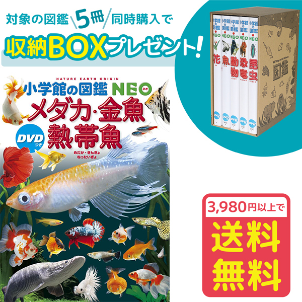 楽天市場】【収納BOX付・送料無料・条件有】小学館の図鑑NEO［新版