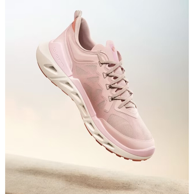 💫 👑 ⛳️ 新色 New Collection AW25 〈エコー〉《 ECCO GOLF BIOM C4