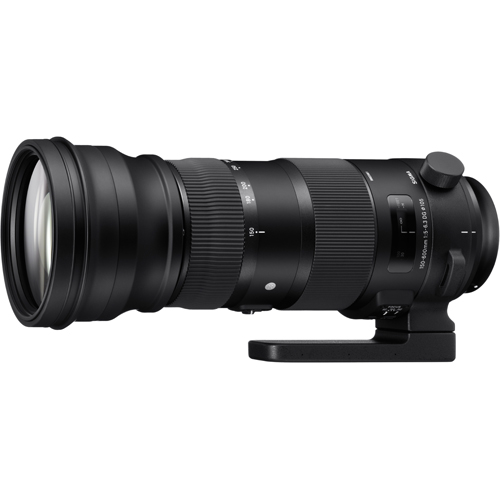 シグマ 150-600/5-6.3 ﾆｺﾝ DG OS HSM Sports 交換レンズ の買取り価格
