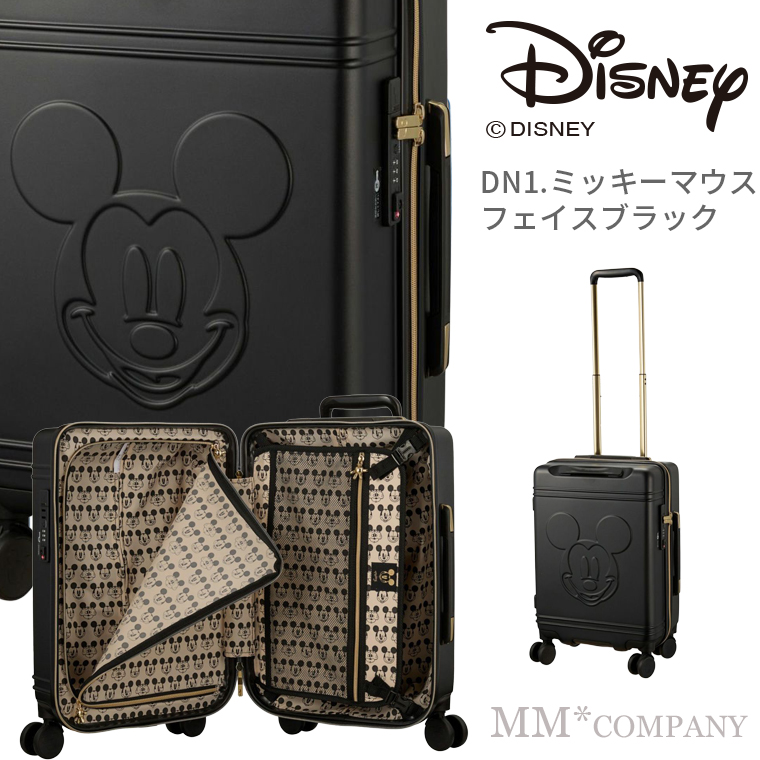 スーツケース 機内持ち込み Sサイズ 30L 1〜2泊用 旅行バッグ ハピタス