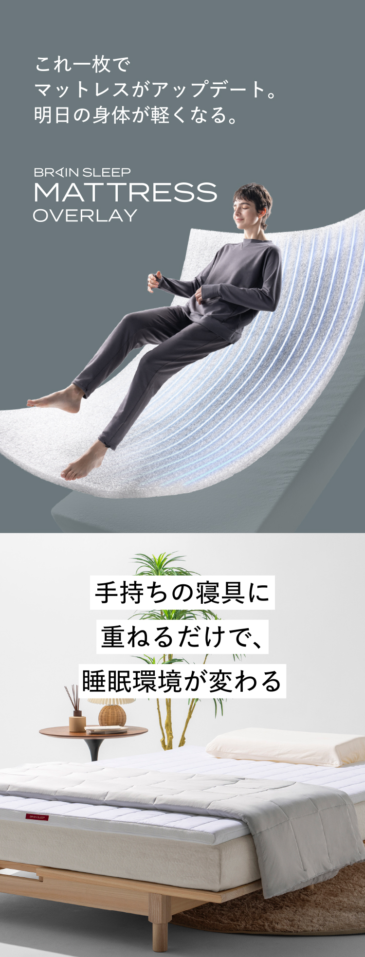 ブレインスリープ ブレインスリープピロー＋マットレス オーバーレイ