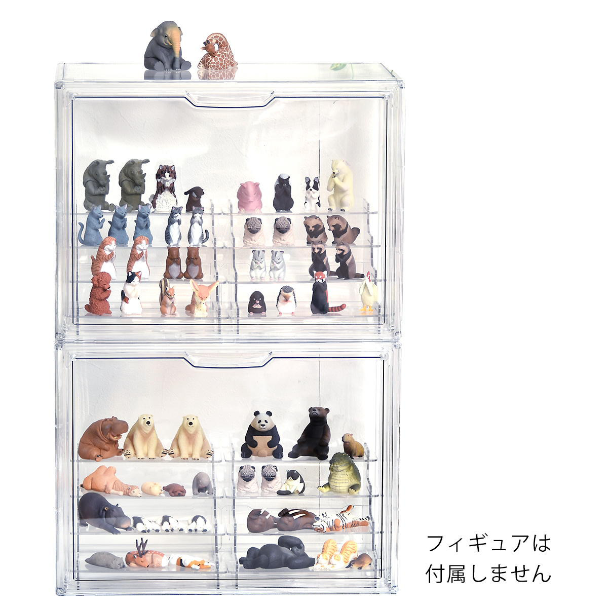 コレクションケース ラダー付き マルチクリアボックス 2個セット 収納