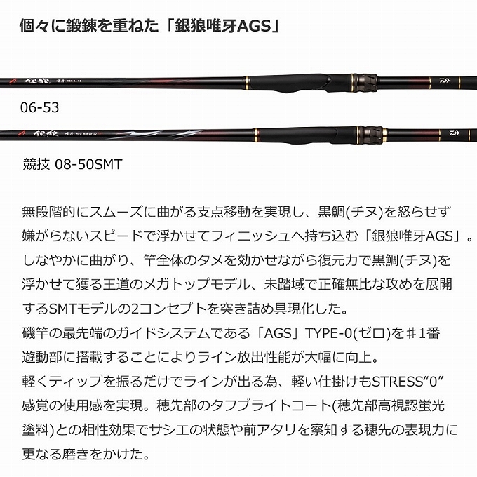 DAIWA（ダイワ） 【目玉商品】ダイワ 銀狼 唯牙 AGS 競技 1-50SMT (磯