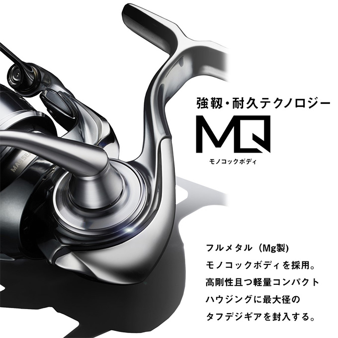 DAIWA（ダイワ） 22 イグジスト LT3000-H (2023年追加モデル