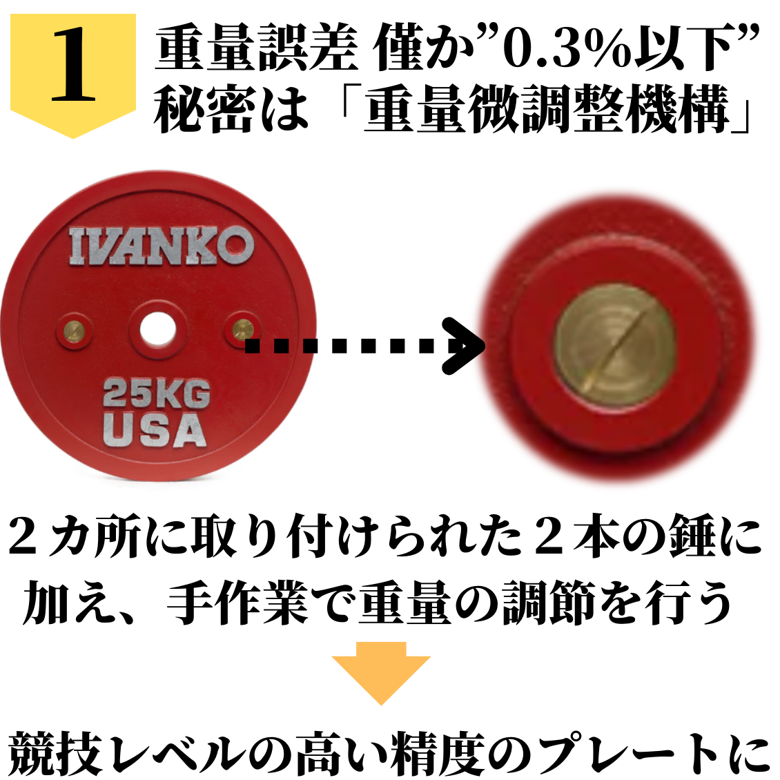 日本総代理店 Φ50mm高品質バーベルプレート IVANKO（イヴァンコ社製