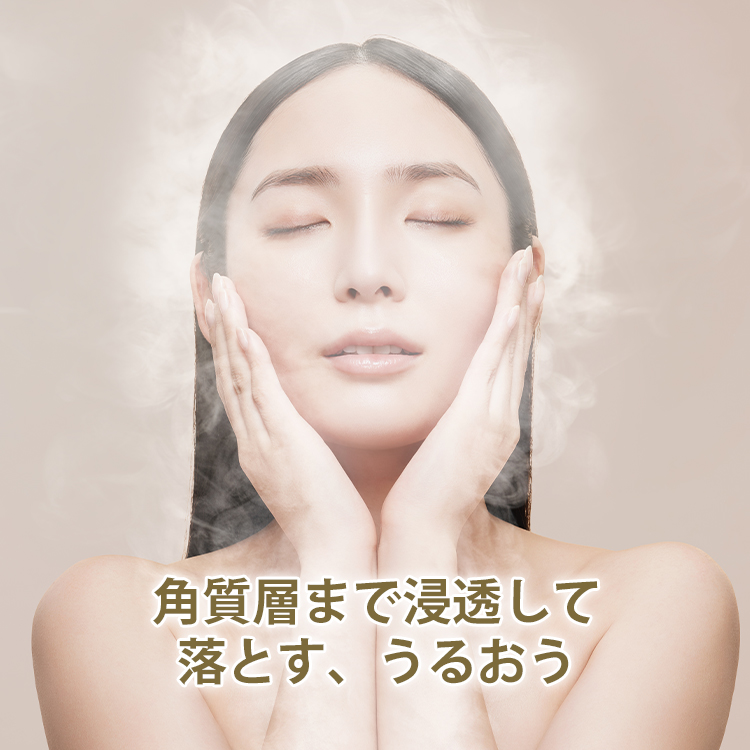 FESTINO Facial Moist Nano Steamer フェスティノ フェイシャル