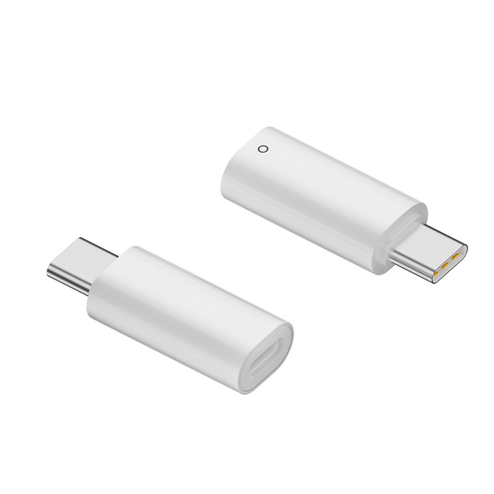 アダプタ Lightning to Type-C 変換 コネクタ iPad 第10世代 対応