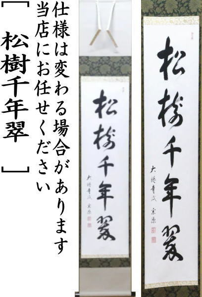 茶道具 掛軸 掛け軸 一行 松樹千年翠 前田宗源筆 茶道 : 茶道具いまや