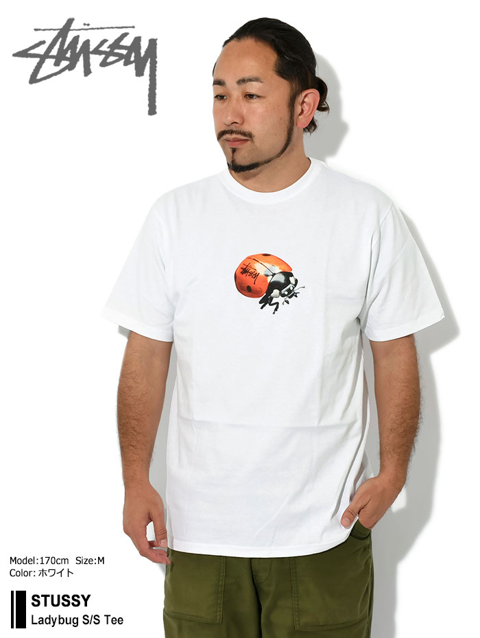 STUSSY（ステューシー） Tシャツ 半袖 メンズ Ladybug ( stussy tee T