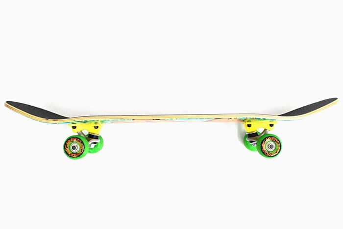 SANTA CRUZ（サンタクルーズ） スケボー スケートボード コンプリート