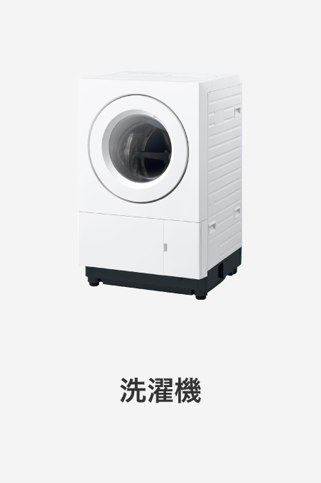 Panasonic（パナソニック） ドラム式洗濯機 NA-LX113DL 左開き マット